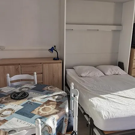Apartman Studio Avec Balcon Pres De La Plage, Animaux Admis, Parking - Fr-1-194-293 *