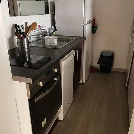 Studio Avec Balcon Pres De La Plage, Animaux Admis, Parking - Fr-1-194-293